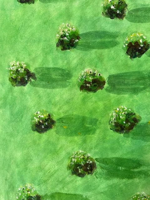 Territoire Florence Fleming 27x21cm